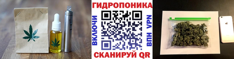 Еда ТГК конопля  Купить закладки  Бирюсинск 