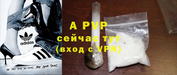 крисы Баксан