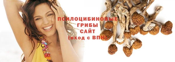 молекула духа Армянск