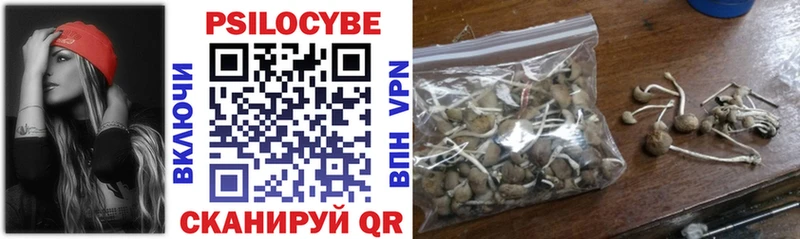 Псилоцибиновые грибы прущие грибы Бирюсинск
