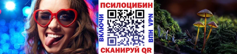 Галлюциногенные грибы Psilocybine cubensis  Купить  Бирюсинск 
